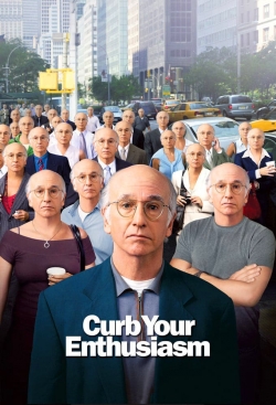 Larry David: Curb Your Enthusiasm-fmovies