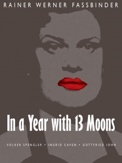 In a Year with 13 Moons-fmovies