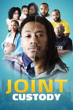 Joint Custody-fmovies
