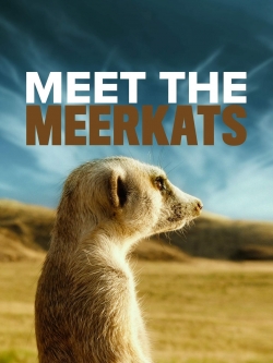Meet The Meerkats-fmovies