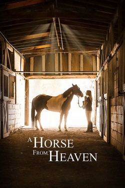 A Horse from Heaven-fmovies