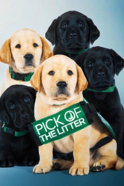 Pick of the Litter-fmovies